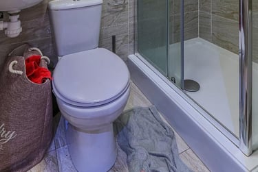 3 bed house, Richmond Road, Plasnewydd, Cardiff, CF243BW - Image 7